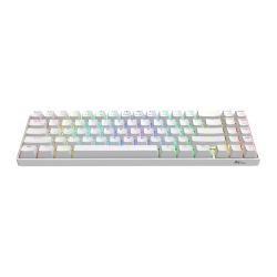 Royal Kludge RK71 Blue Switch RGB Hot Swappable Tri-Mode Wireless Mechanical Keyboard